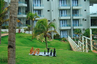 08_wooden_chess_beach_06