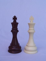 chestnut_brown_vs_edelweis