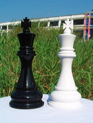 black_vs_white