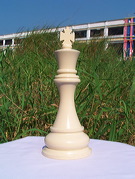 a4_edelweis