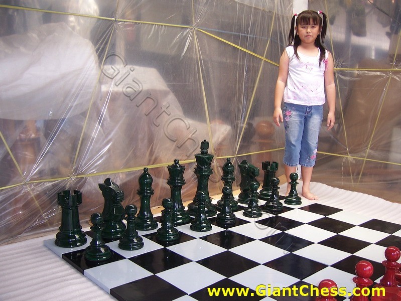 16inchi_color_chess_04.jpg