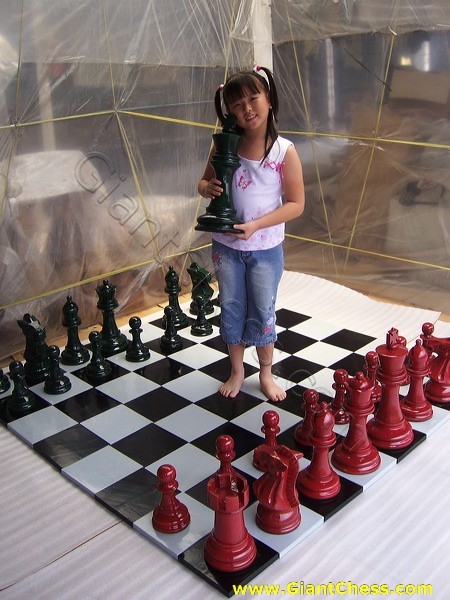 16inchi_color_chess_06.jpg