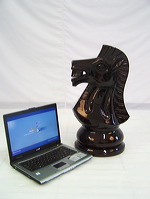 36inchi_garden_chess_13