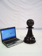 36inchi_garden_chess_15