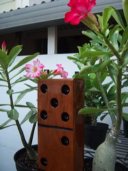 wooden_giant_dominoes_03
