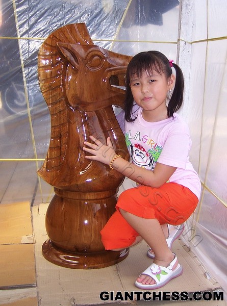 big_knight_chess_06.jpg