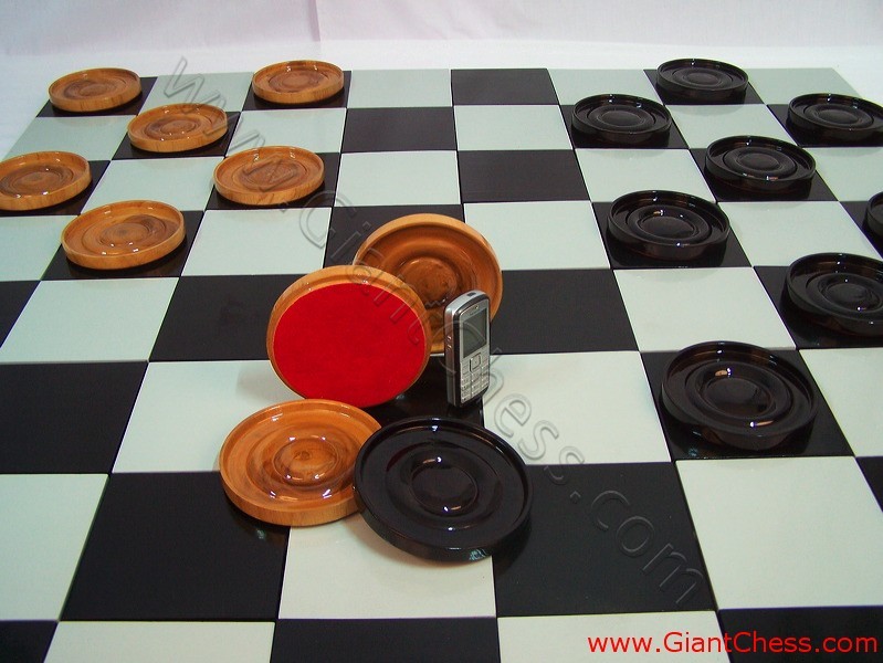 checker_pieces_12_06.jpg
