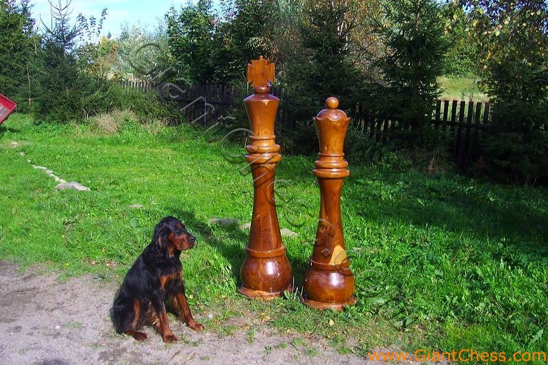 72inchi-and-a-dog-in-gdansk.jpg