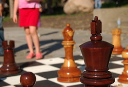 wood_giant_chess_12