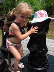 wood_giant_chess_31