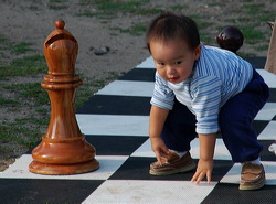 wood_giant_chess_42
