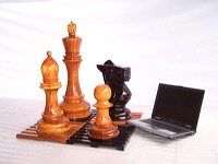 Comparison with a Laptop