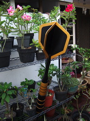 wooden_giant_dart_05