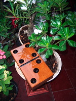 wooden giant domino