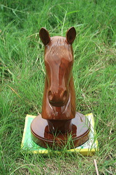 horse_face_01