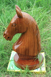 horse_face_04
