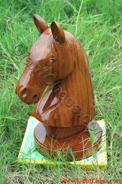 horse_face_03.jpg