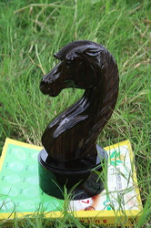 wooden horse