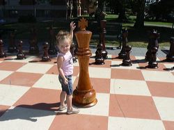 medicine hat chess