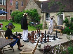 beautiful chess