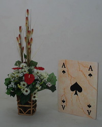 marble_card_games_01