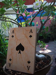 marble_card_games_03