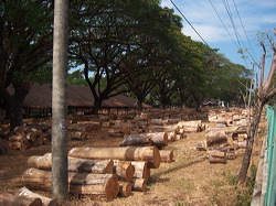 perum_perhutani_01