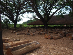 perum_perhutani_04