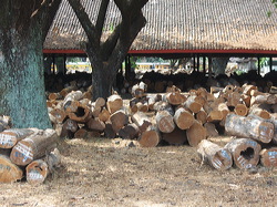 perum_perhutani_06