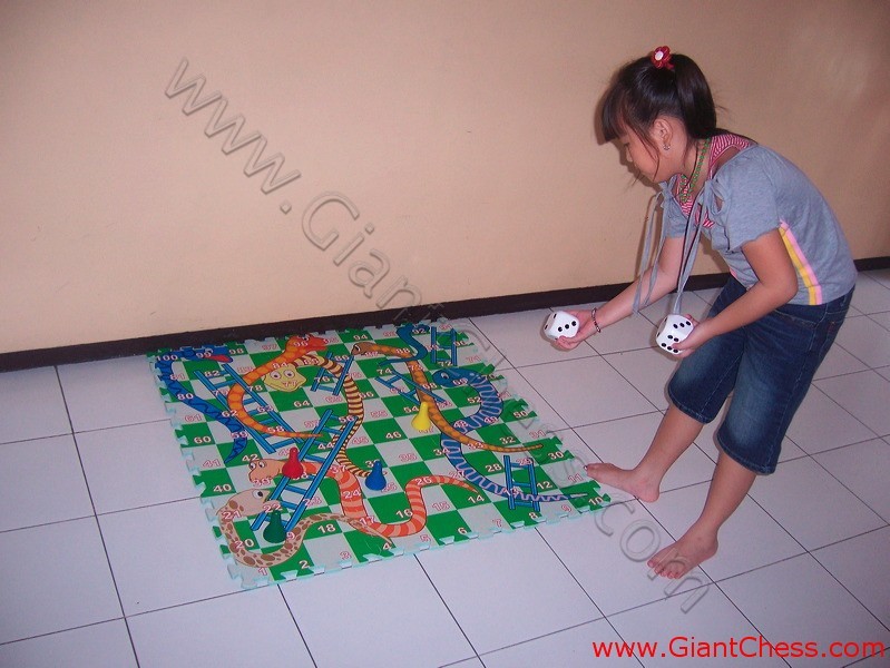 snake_ladder_game_01.jpg