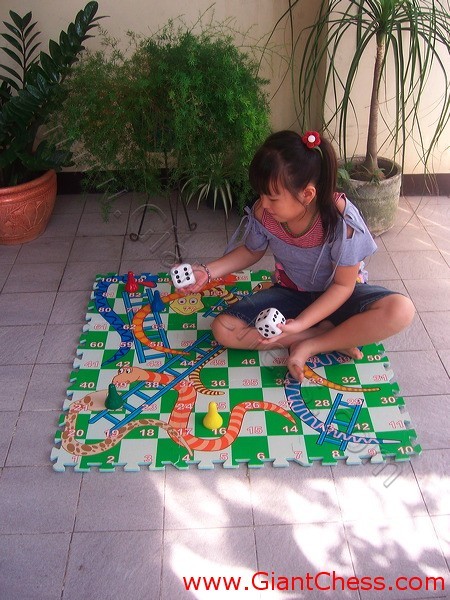 snake_ladder_game_02.jpg