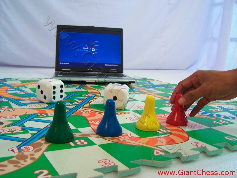 snake_ladder_game_05.jpg