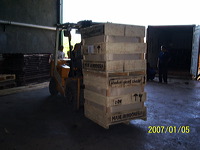 stuffing_process_to_usa_04