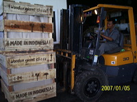 stuffing_process_to_usa_05
