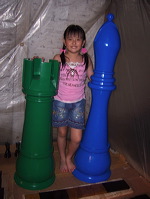 wooden_color_chess_09
