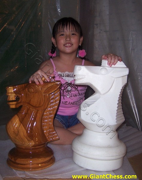 wooden_chess_and_plastic_03.jpg